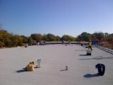 TJ Lee Elementary School - ReRoof - Irving ISD